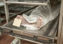 Insurance Industry Data Exposes ‘5,000 Vaccine-Linked Deaths a WEEK’