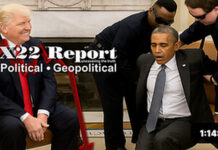 When Do You Attack The King? Nobody Is Above The Law, All Roads Lead To Obama, Checkmate