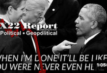 D’s Set The Precedent, Obama Can Be Impeached, It Will Be Like He Never Existed