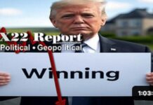 Strzok Scrubbed His Tweets In The Wayback Machine, Obama Panic, D5, Information Warfare