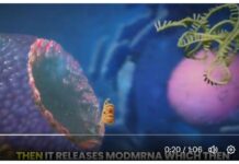 COVID-19 mRNA “Vaccines” Will NEVER Be Vaccines