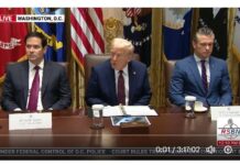 President Trump Participates in a Cabinet Meeting