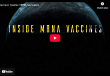 Inside mRNA Vaccines: The Movie