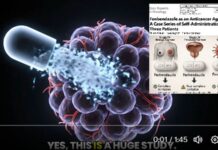 Cheap Anti-Parasitic Fenbendazole Linked to Long-Term REMISSION in Stage IV Cancer Patients