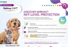 The USDA Has Approved Self Amplifying mRNA Injections For Dogs & Cats—With Zero Long Term Testing & No Public Warning