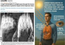 NEW STUDY: Sunlight Penetrates the Human Body, Improving Mitochondrial Function and Vision