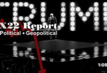 Chicago Is Next, Trump Confirms That We Are Poised To Win The Midterms, Stage Set