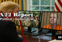 Adam Schiff Is A Traitor To Our Country, Domestic Civil Disturbance Quick Reaction Force