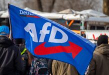 Seven German AfD Politicians Die Within Weeks of Each Other Ahead of Elections