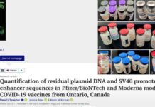 DNA Contamination in Every Dose: New Study Sounds Alarm on Pfizer & Moderna mRNA Shots