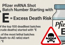 Pfizer mRNA Shot Batch Number Starting with “E” = “Excess Death Risk”