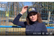 One B.C. Party Leader Dallas Brodie Sends Premier David Eby & BC Conservative Leader John Rustad a Message