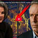 Screenshot 2025-11-14 at 20-53-55 (44) SHOCKING new details show that Susie Wiles is ENEMY number one inside the Trump Administration – YouTube