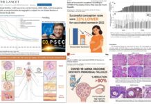 COVID-19 mRNA Shots Destroy Over 60% of Women’s Non-Renewable Egg Supply, Reduce Pregnancy Success by 33%