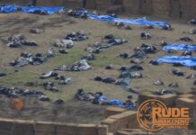 Ostrich Massacre – Rebel News reporter Drea Humphrey on Infowars