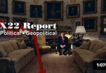 Trump Has Trapped The D’s In The Shutdown, It’s All Being Exposed, Power Is Being Restored X22 Report 802K followers