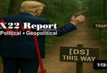 D’s Are Panicking,Caught In Trap,Trump Begins To Separate The Players Before The Midterms