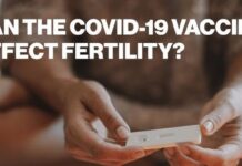 COVID-19 Vaccines and Human Fertility