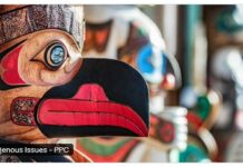 UNDRIP – Indigenous Issues