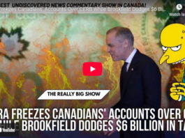 CRA Freezes Canadians’ Accounts Over CERB While Brookfield Dodges $6 Billion in Taxes