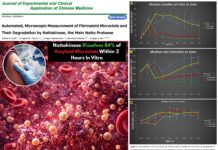 Study Finds Nattokinase Dissolves 84% of Amyloid Microclots Within 2 Hours In Vitro