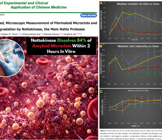 Study Finds Nattokinase Dissolves 84% of Amyloid Microclots Within 2 Hours In Vitro