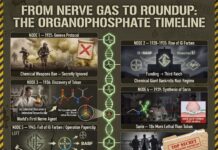 Glyphosate: A “Nerve Agent” for Plants (which also causes Cancer and Horrific Health Effects in Humans)