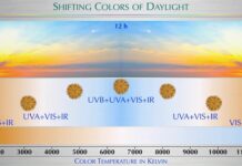 Sunbathing for Dummies: How Morning Light, Midday UV, and Nighttime Darkness Create Resilient Skin