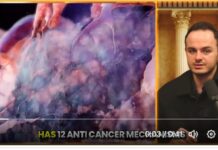 LARGEST Human Ivermectin-Cancer Study Ever Conducted