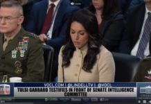 Tulsi Gabbard Testifies In Front Of Senate Intelligence Committee