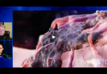 Nic Hulscher – Cancer Treatment using Ivermectin / Fenbendazole or Mebendazole Emerging