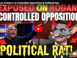 Pierre Poilievre is Not a Solution for Canada! He is Controlled Opposition!