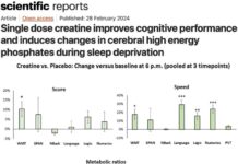 Creatine Rapidly Enhanced Brain Bioenergetics and Improved Cognitive Performance