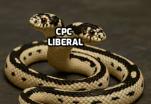 It’s Time To Put Canada and Canadians FIRST!