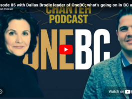 What’s Going on in BC and What Can We Do About It?