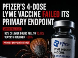 Pfizer’s 4-DOSE Lyme Disease Vaccine … The Trial FAILED its Primary Edpoint.