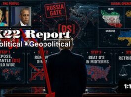 Step 1, RINOs Removed, Step 2,Destroy The D’s In Midterms, Leverage, Step 3, Retribution