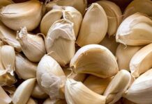 High Blood Pressure Doesn’t Start with Salt and Getting Old…