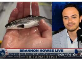 Farmed Fish Mass Vaccinated Using Over 50 Different Vaccines!