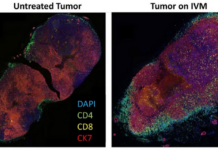 They Buried it for COVID. Now They’re Doing It for Cancer