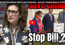 OneBC MLA Demolishes BC NDP for BC Land Giveaway! (Dallas Brodie speech)