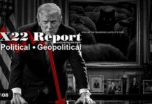 Trump Is Showing A Once Conquered Nation Has Been Freed, He Will Strike Like A Thunderbolt