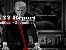 Trump Is Showing A Once Conquered Nation Has Been Freed, He Will Strike Like A Thunderbolt